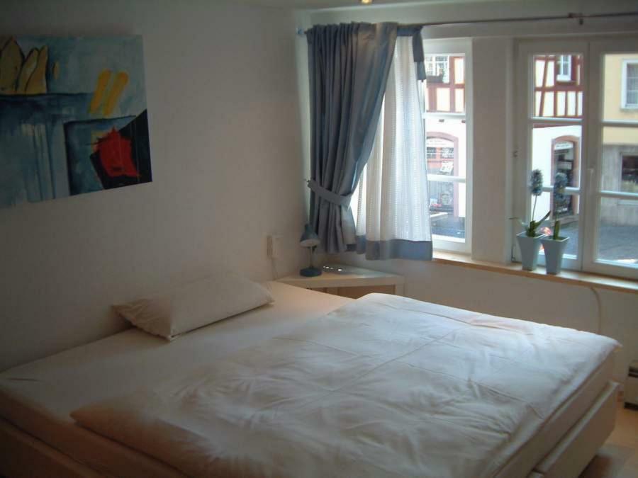 Appartement Kirschgarten Μάιντς Εξωτερικό φωτογραφία